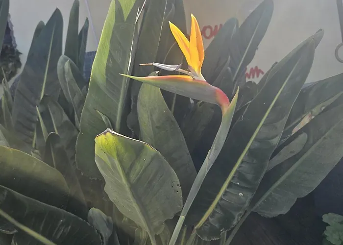 Appartamento Casadellanna *